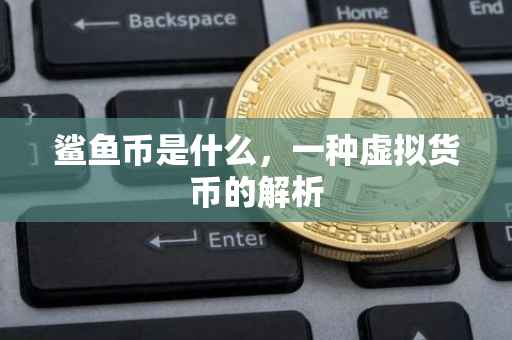 鲨鱼币是什么，一种虚拟货币的解析