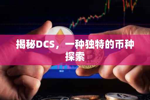 揭秘DCS，一种独特的币种探索