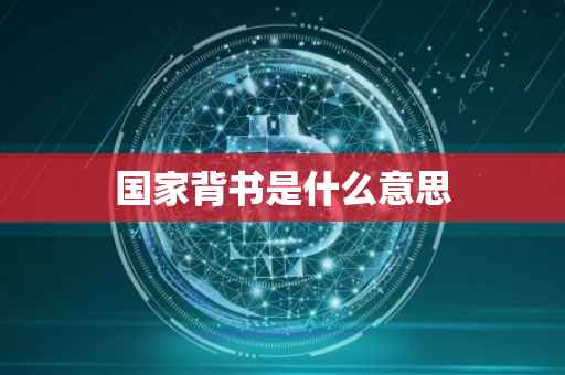 国家背书是什么意思