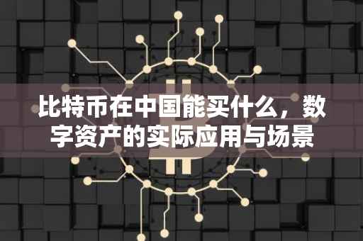 比特币在中国能买什么，数字资产的实际应用与场景