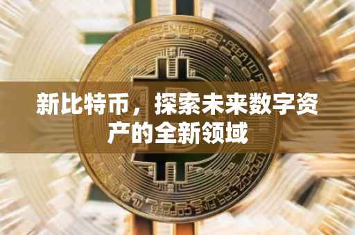 新比特币，探索未来数字资产的全新领域