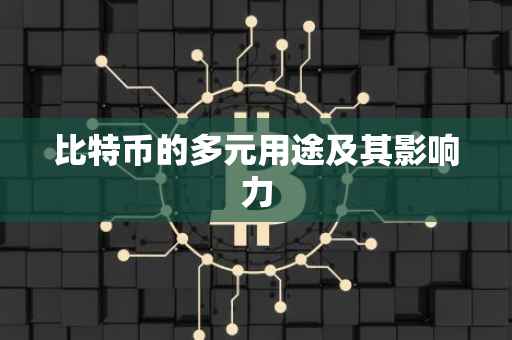 比特币的多元用途及其影响力