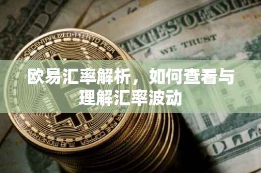 欧易汇率解析，如何查看与理解汇率波动