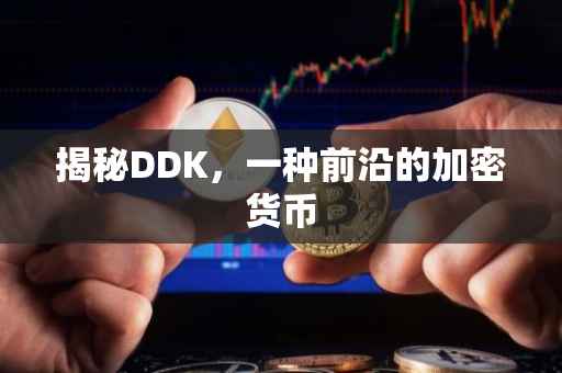 揭秘DDK，一种前沿的加密货币