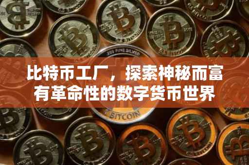 比特币工厂，探索神秘而富有革命性的数字货币世界