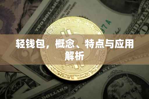 轻钱包，概念、特点与应用解析