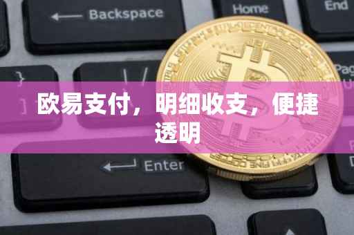 欧易支付，明细收支，便捷透明