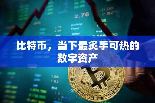 比特币，当下最炙手可热的数字资产