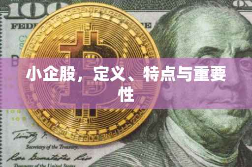 小企股，定义、特点与重要性