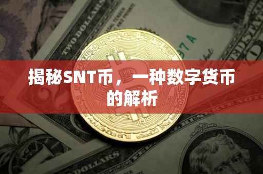 揭秘SNT币，一种数字货币的解析
