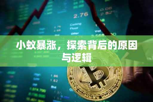 小蚁暴涨，探索背后的原因与逻辑