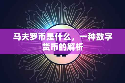 马夫罗币是什么，一种数字货币的解析