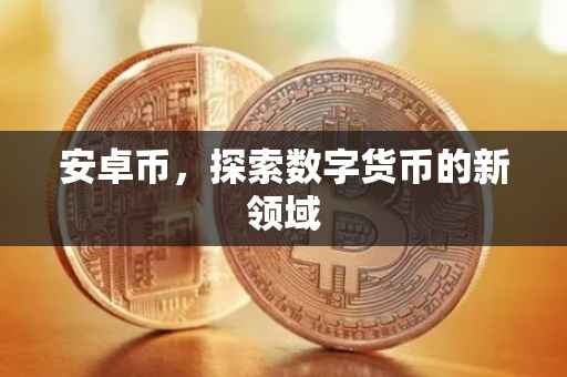 安卓币，探索数字货币的新领域