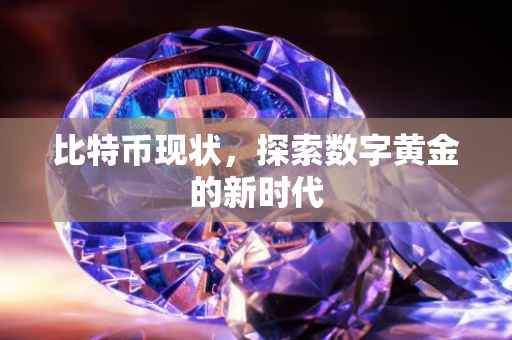 比特币现状，探索数字黄金的新时代