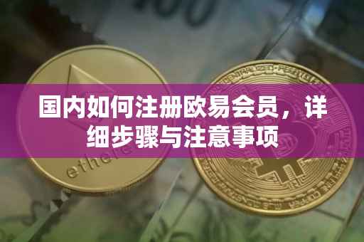 国内如何注册欧易会员，详细步骤与注意事项