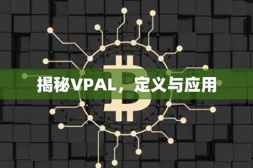 揭秘VPAL，定义与应用