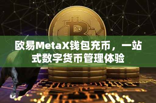 欧易MetaX钱包充币，一站式数字货币管理体验