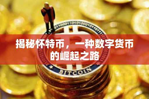 揭秘怀特币，一种数字货币的崛起之路