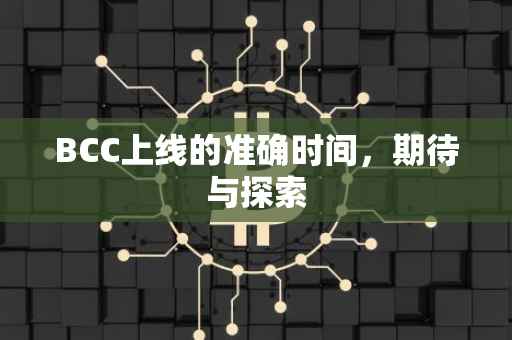 BCC上线的准确时间，期待与探索