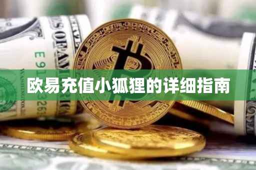 欧易充值小狐狸的详细指南