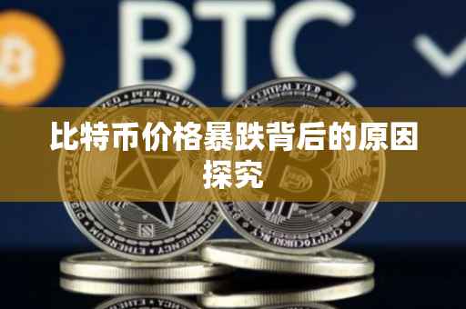 比特币价格暴跌背后的原因探究