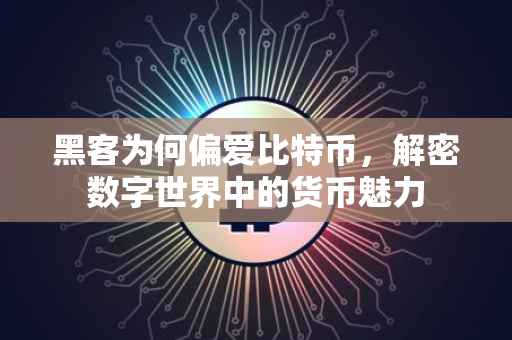 黑客为何偏爱比特币，解密数字世界中的货币魅力