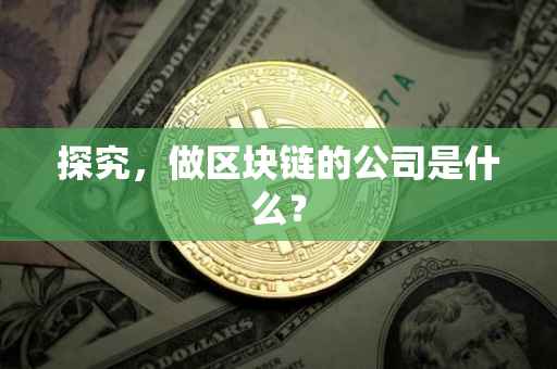 探究，做区块链的公司是什么？