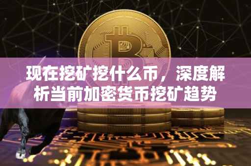 现在挖矿挖什么币，深度解析当前加密货币挖矿趋势