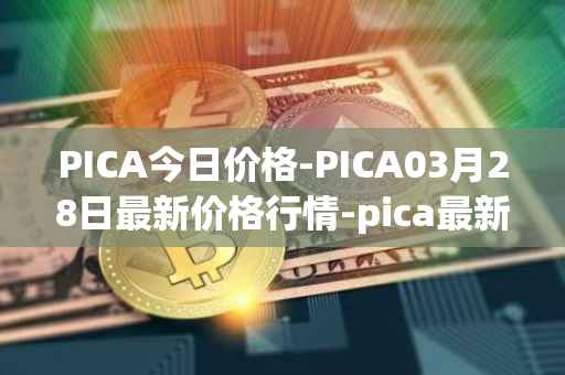 PICA今日价格-PICA03月28日最新价格行情-pica最新走势消息
