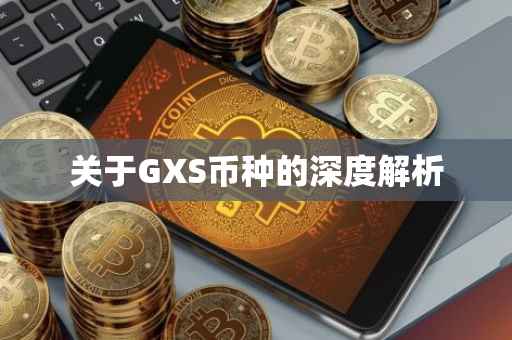 关于GXS币种的深度解析