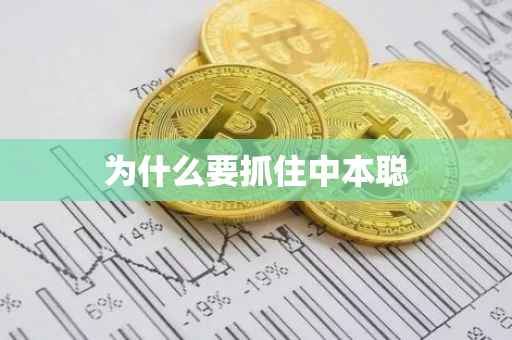 为什么要抓住中本聪