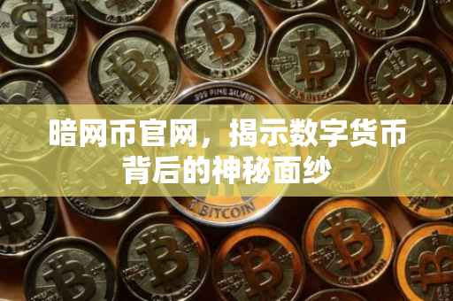 暗网币官网，揭示数字货币背后的神秘面纱