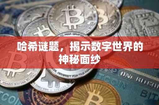 哈希谜题，揭示数字世界的神秘面纱