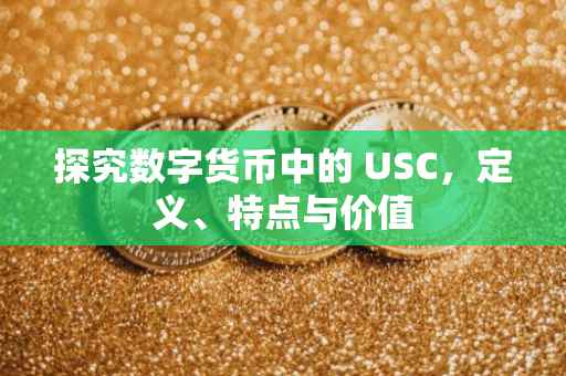 探究数字货币中的 USC，定义、特点与价值