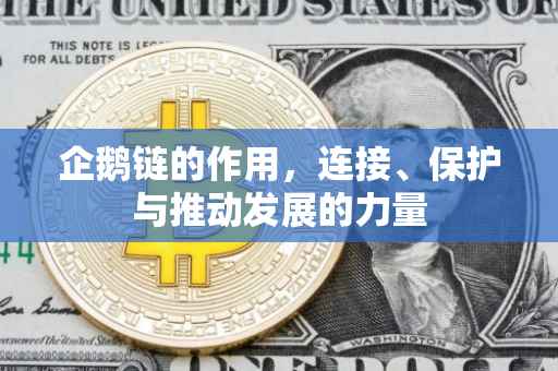 企鹅链的作用，连接、保护与推动发展的力量