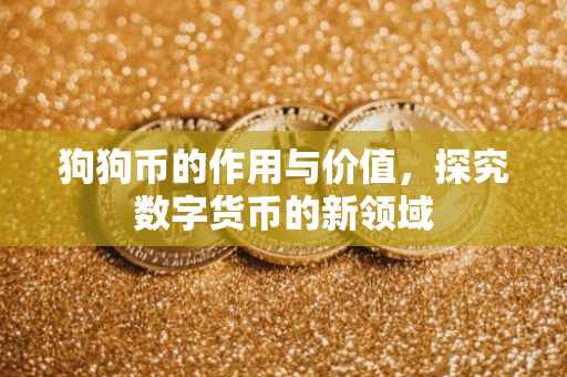 狗狗币的作用与价值，探究数字货币的新领域