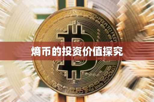 熵币的投资价值探究