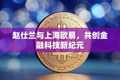 赵仕兰与上海欧易，共创金融科技新纪元