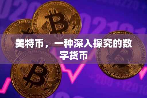 美特币，一种深入探究的数字货币