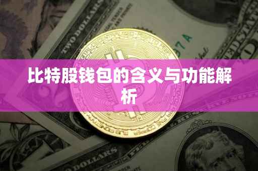 比特股钱包的含义与功能解析