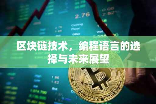 区块链技术，编程语言的选择与未来展望