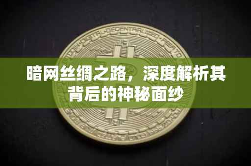 暗网丝绸之路，深度解析其背后的神秘面纱