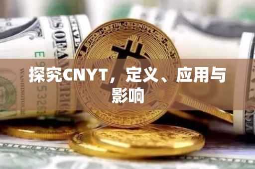 探究CNYT，定义、应用与影响
