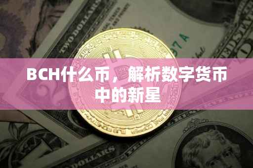 BCH什么币，解析数字货币中的新星