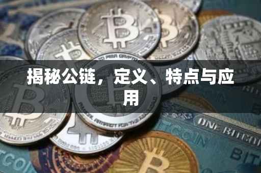 揭秘公链，定义、特点与应用