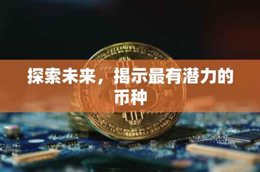 探索未来，揭示最有潜力的币种