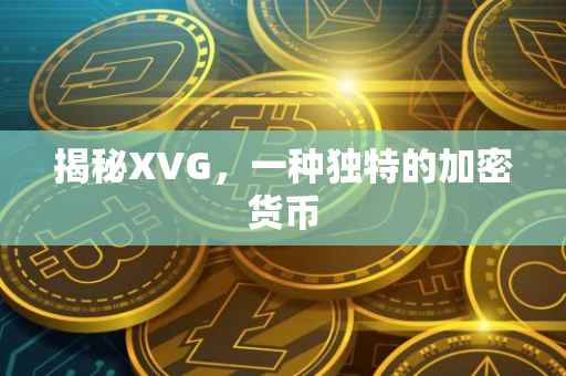 揭秘XVG，一种独特的加密货币
