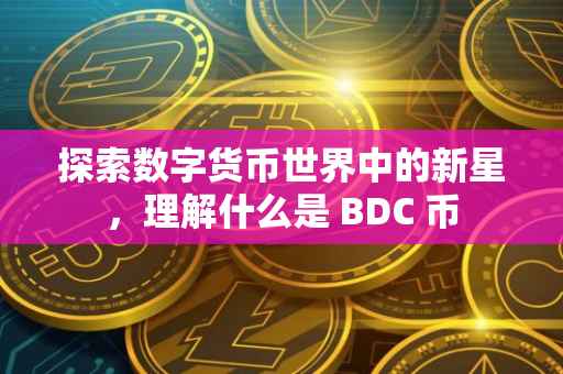 探索数字货币世界中的新星，理解什么是 BDC 币