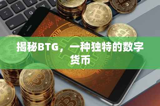 揭秘BTG，一种独特的数字货币