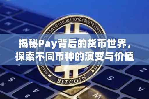 揭秘Pay背后的货币世界，探索不同币种的演变与价值